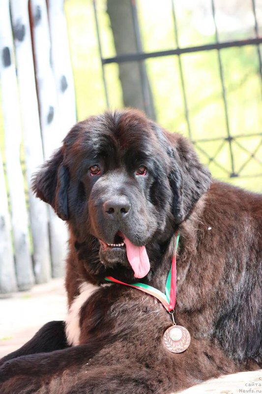 Фотография № 224658