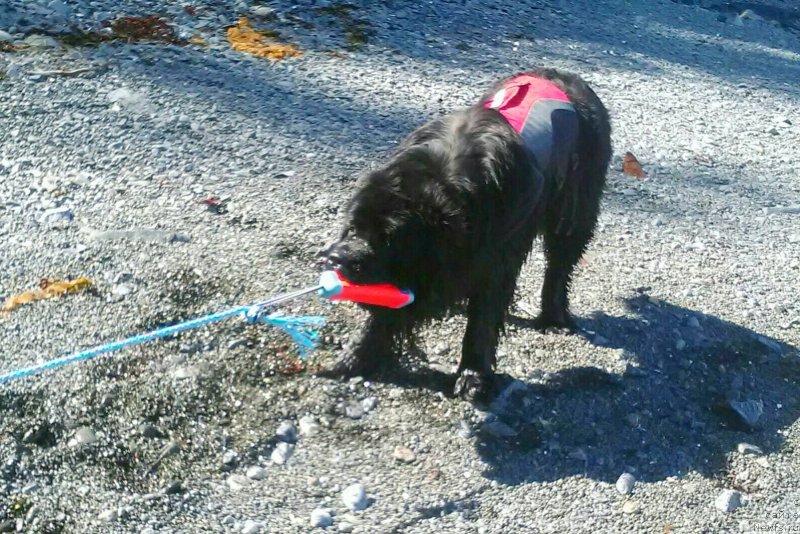 Фотография № 224702