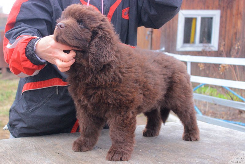 Фотография № 224705