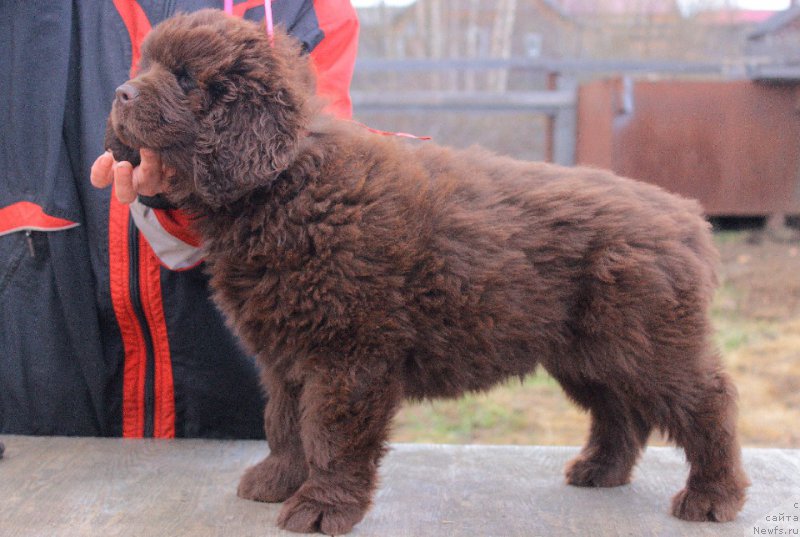 Фотография № 224706