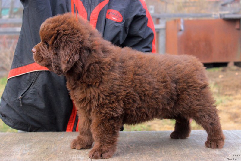 Фотография № 224707