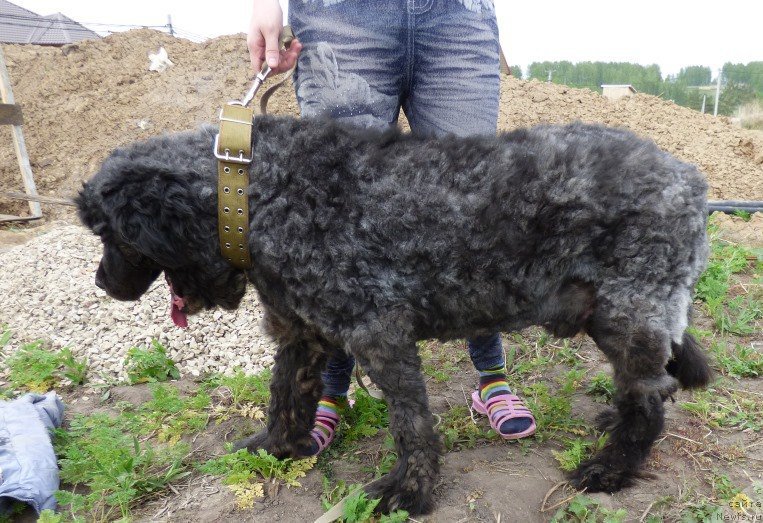 Фотография № 224709