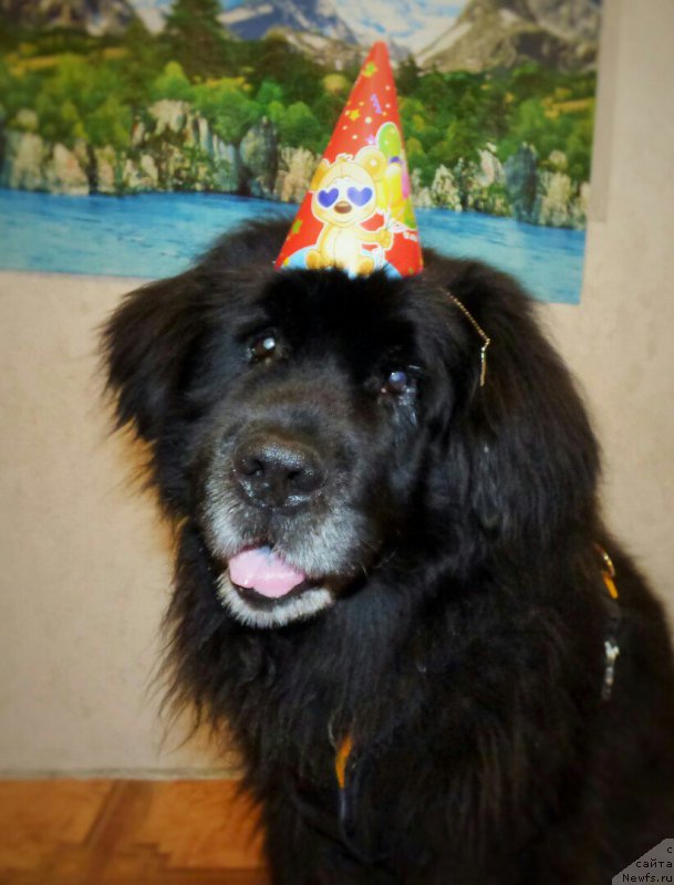 Фотография № 224712