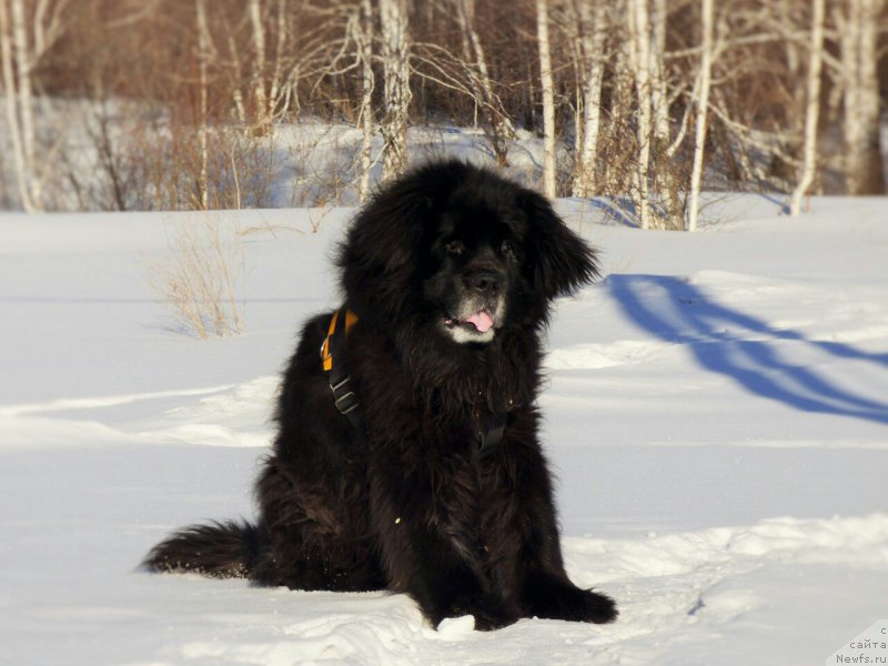 Фотография № 224713