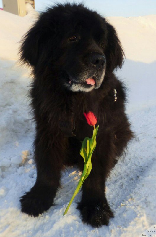 Фотография № 224714