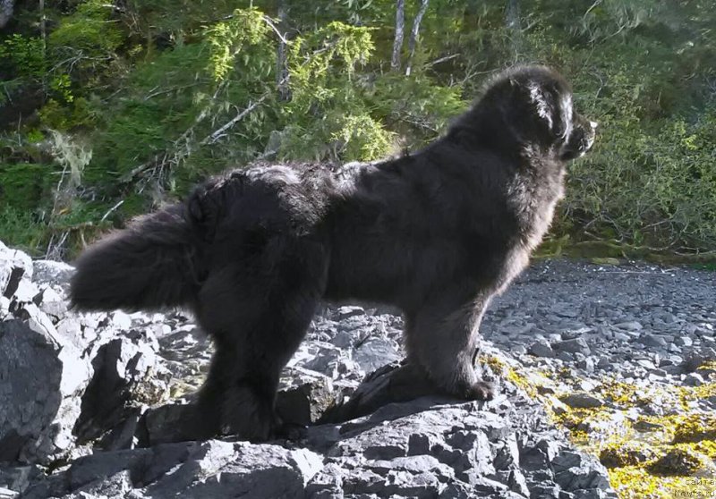 Фотография № 224722