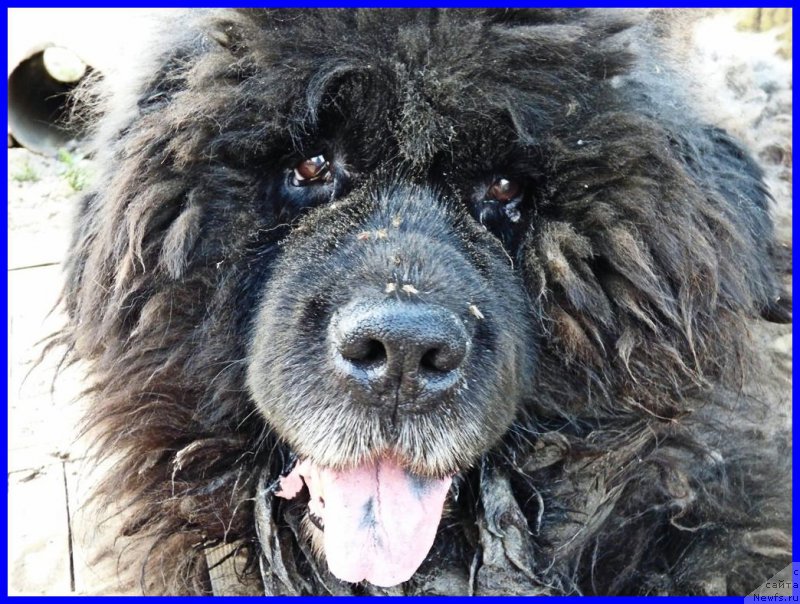 Фотография № 224727