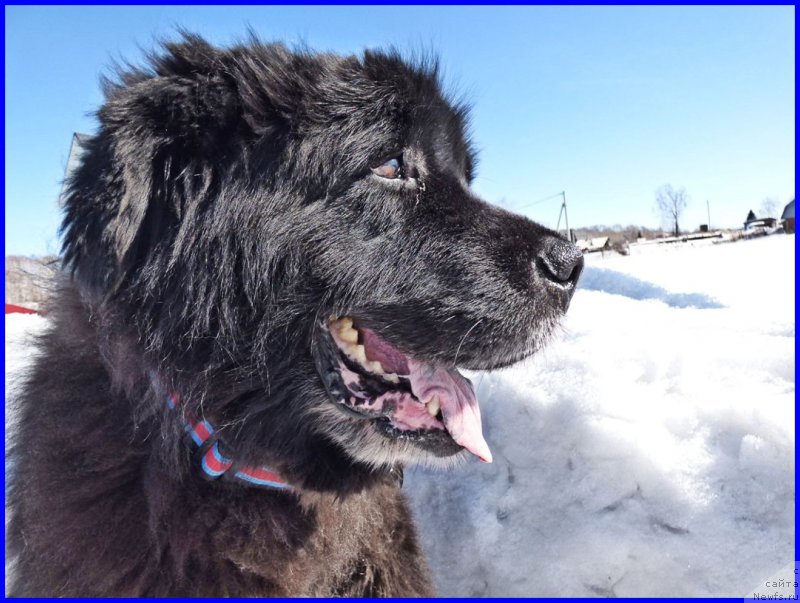 Фотография № 224728