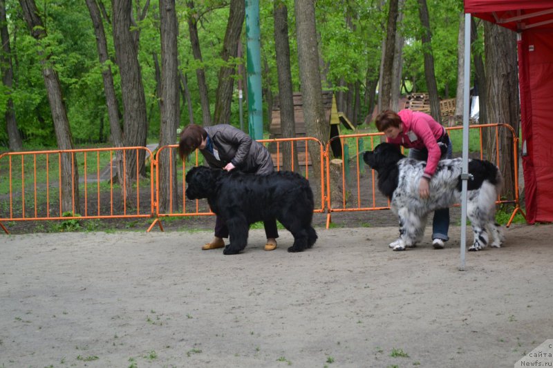 Фотография № 224740