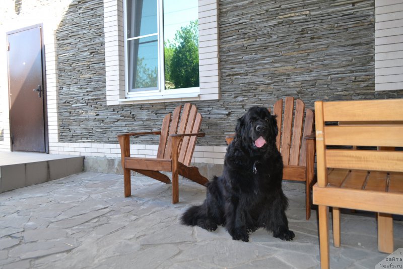 Фотография № 224747