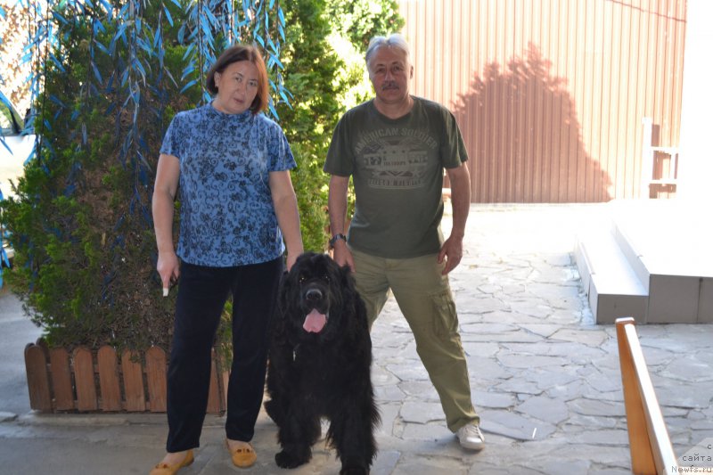 Фотография № 224748