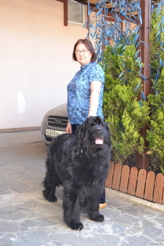 Фотография № 224750