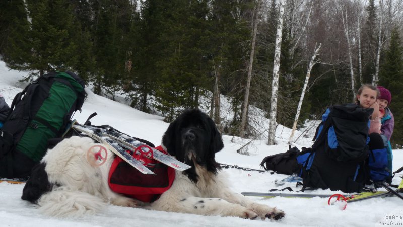 Фотография № 224754