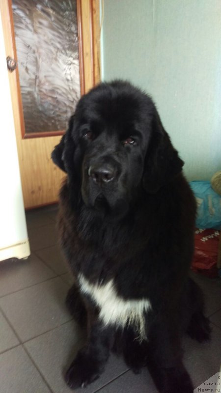 Фотография № 224756