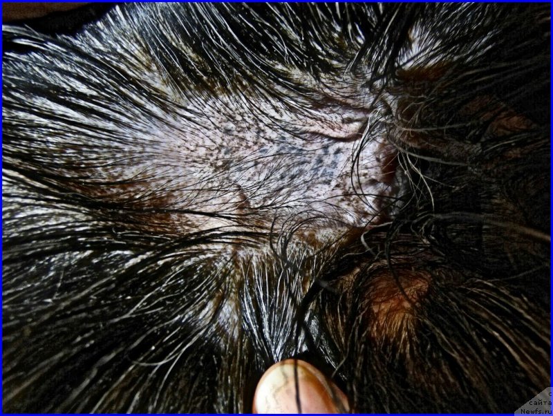 Фотография № 224757