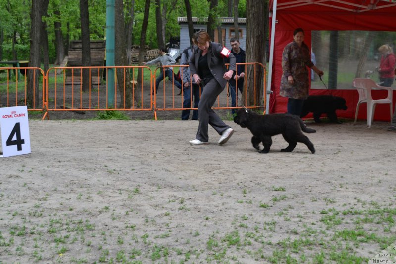 Фотография № 224759