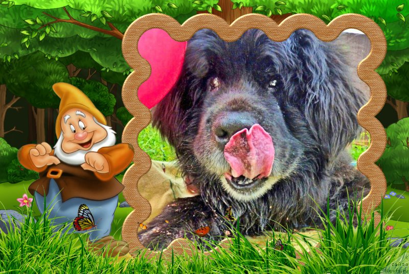 Фотография № 224768