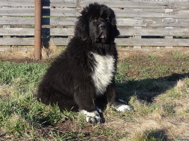 Фотография № 224774