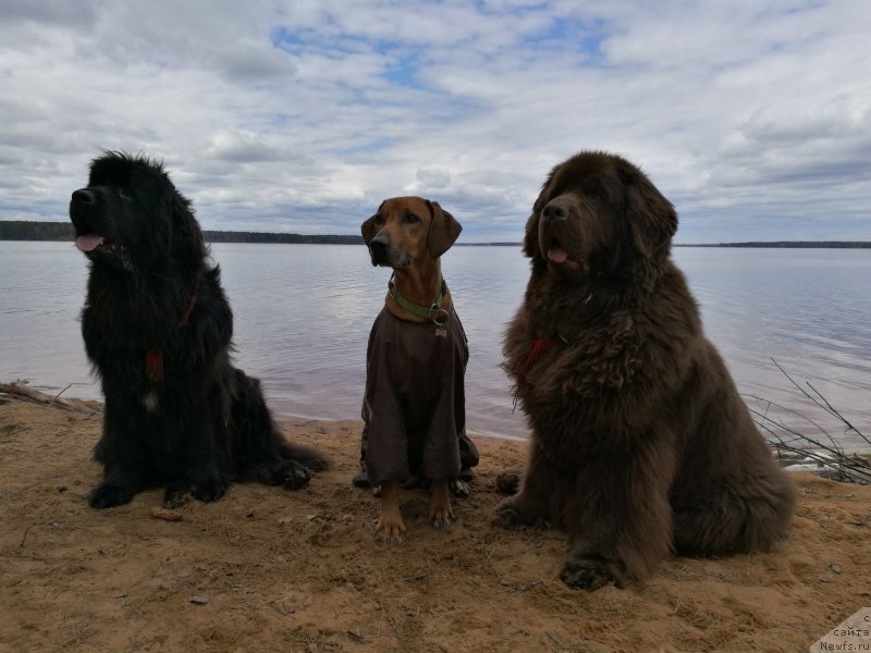 Фотография № 224779