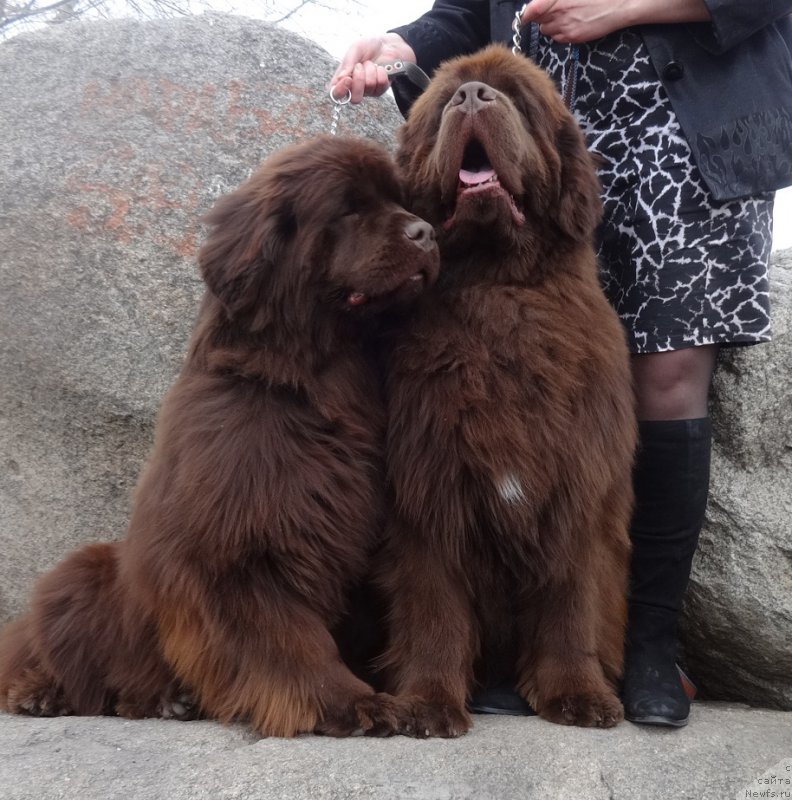 Фотография № 224784