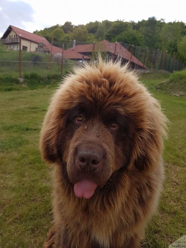 Фотография № 224804