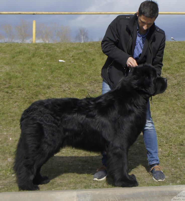 Фотография № 224809