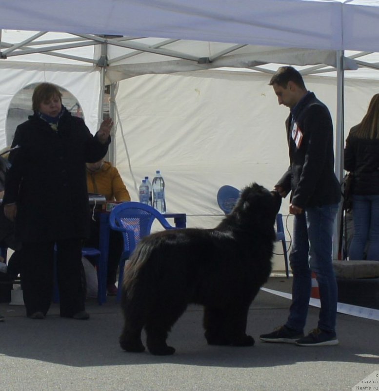 Фотография № 224810