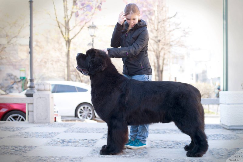 Фотография № 224811