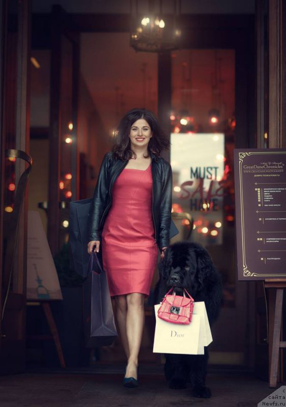 Фото: ньюфаундленд Смигар Ливерпульский Четвертак (Smigar Liverpulsiy Chetvertak)