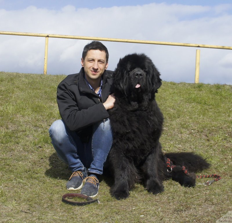 Фотография № 224814