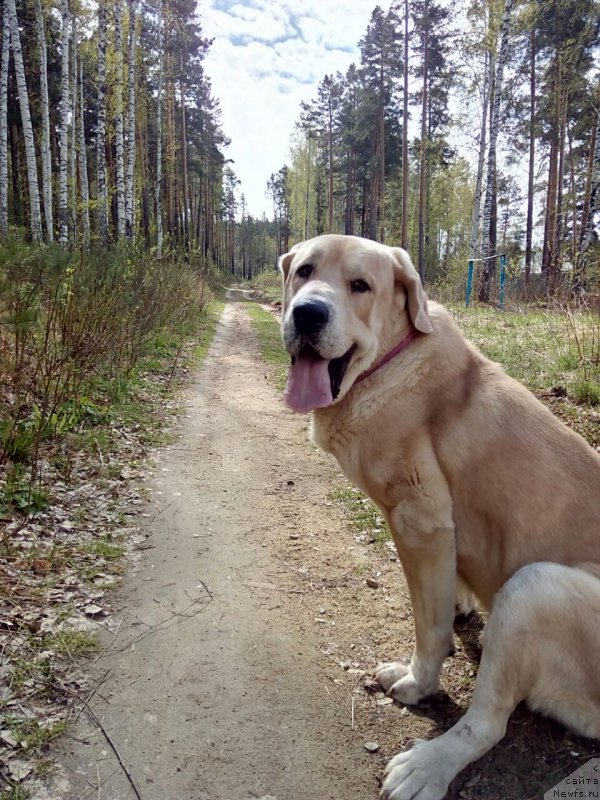 Фотография № 224817