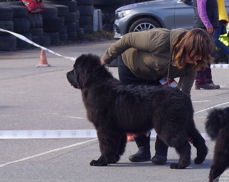 Фотография № 224842