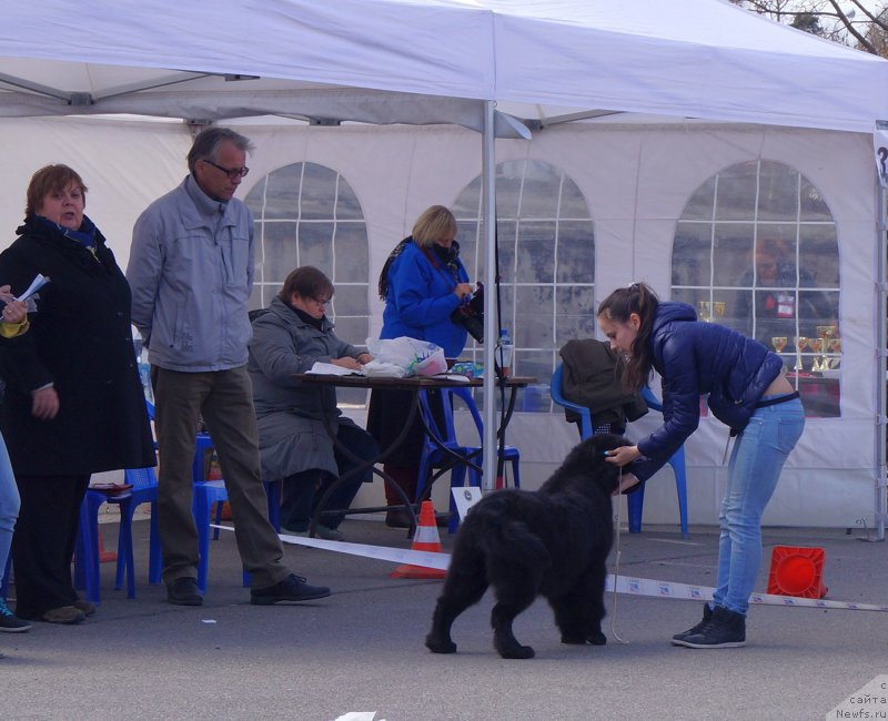 Фотография № 224846