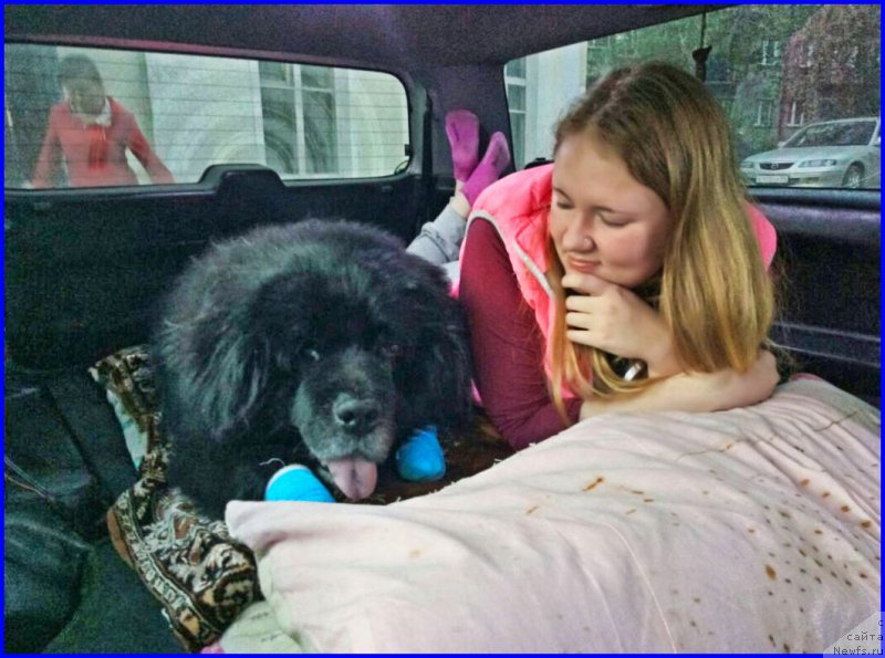 Фотография № 224871