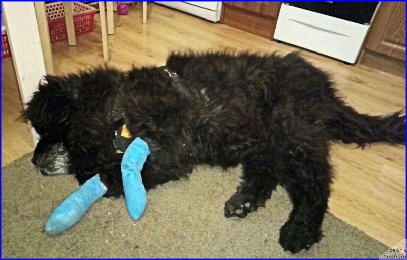 Фотография № 224874