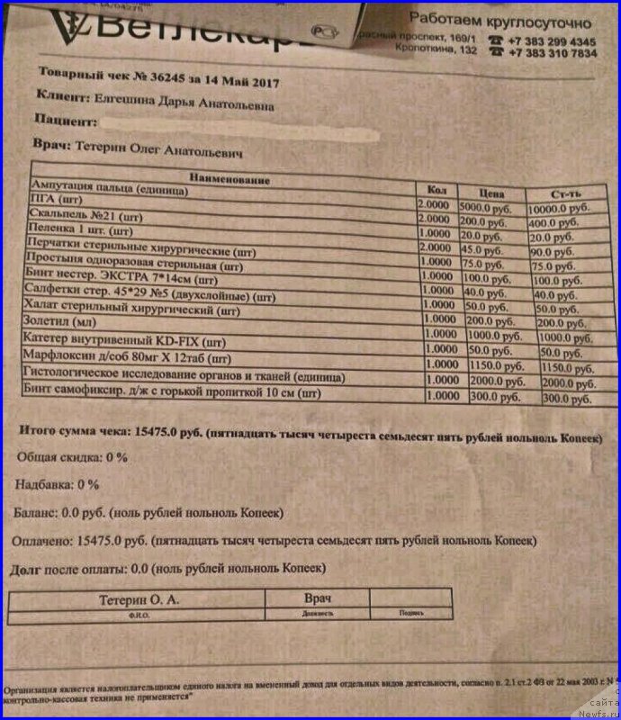 Фотография № 224886