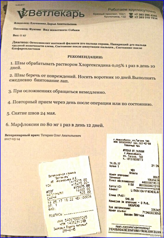 Фотография № 224888