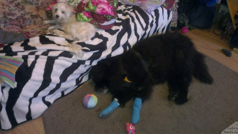 Фото: Дарья Елгешина