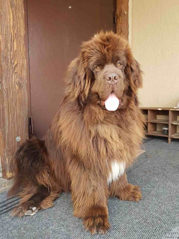 Фотография № 224938