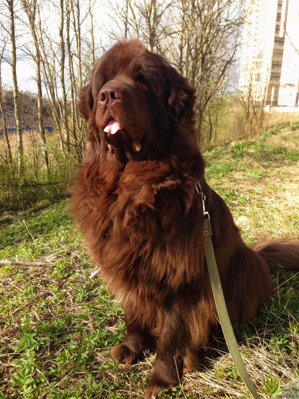 Фотография № 224946