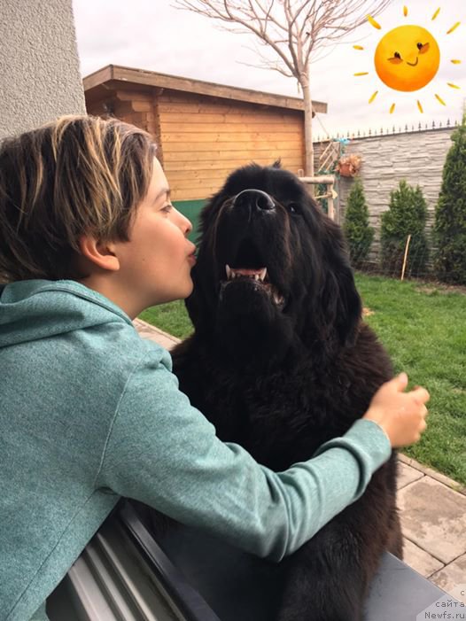 Фотография № 224951