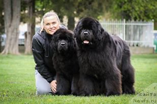 Фотография № 224952