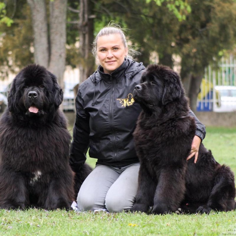 Фотография № 224953