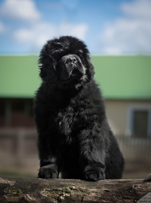 Фотография № 224956