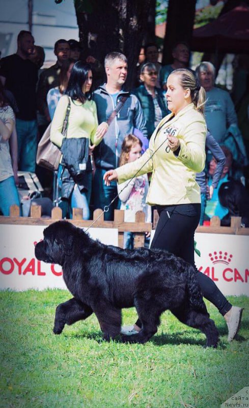 Фотография № 224957