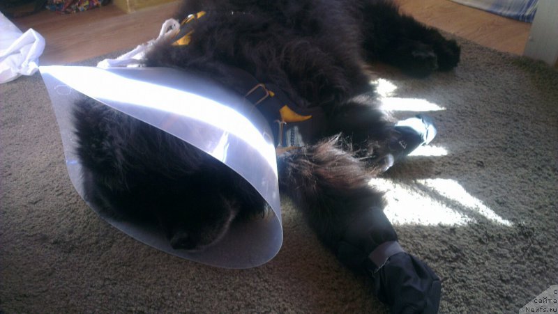 Фото: Дарья Елгешина