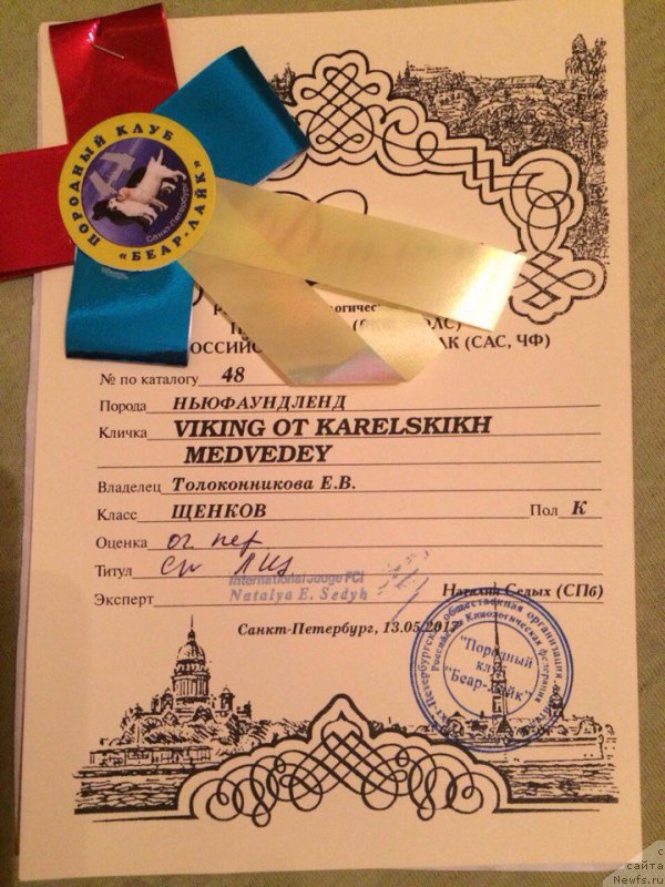 Фотография № 224979