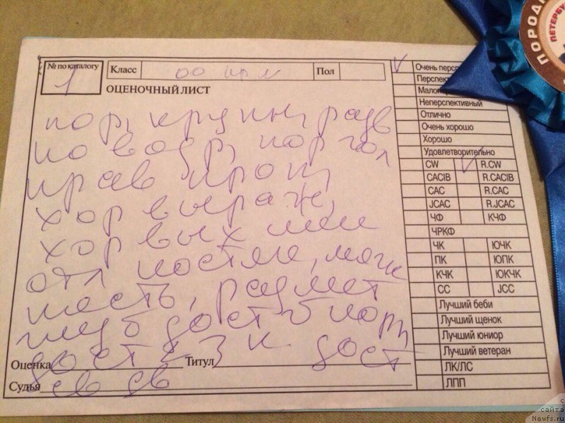 Фотография № 224980