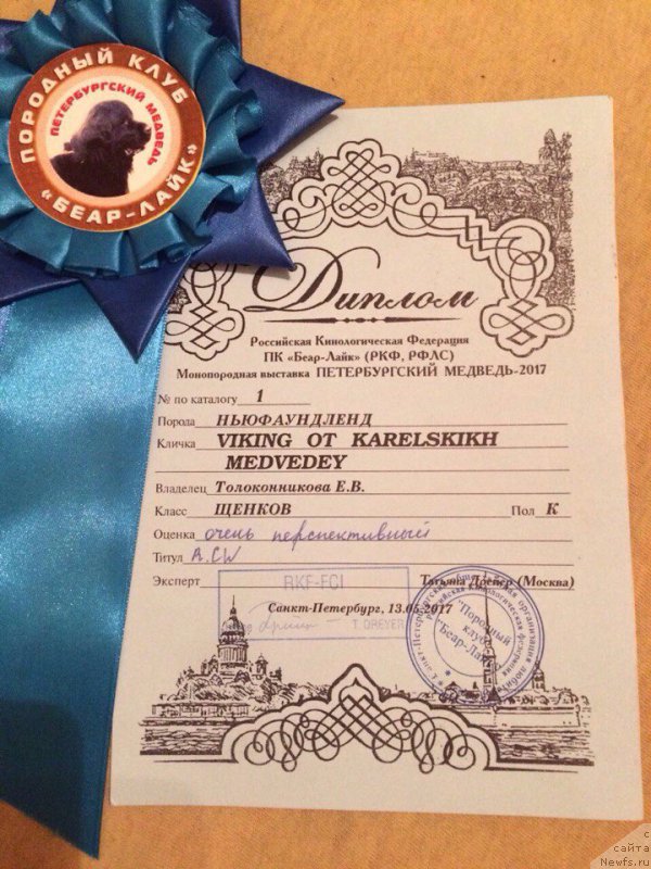 Фотография № 224982