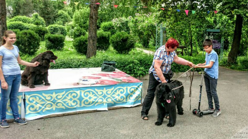 Фотография № 224987